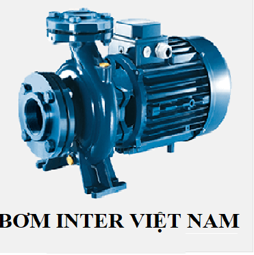 BƠM INTER - VIỆT NAM