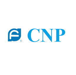 MÁY BƠM CNP - CHINA
